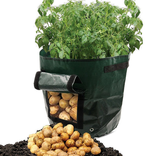 This is a PE cloth garden planting bag