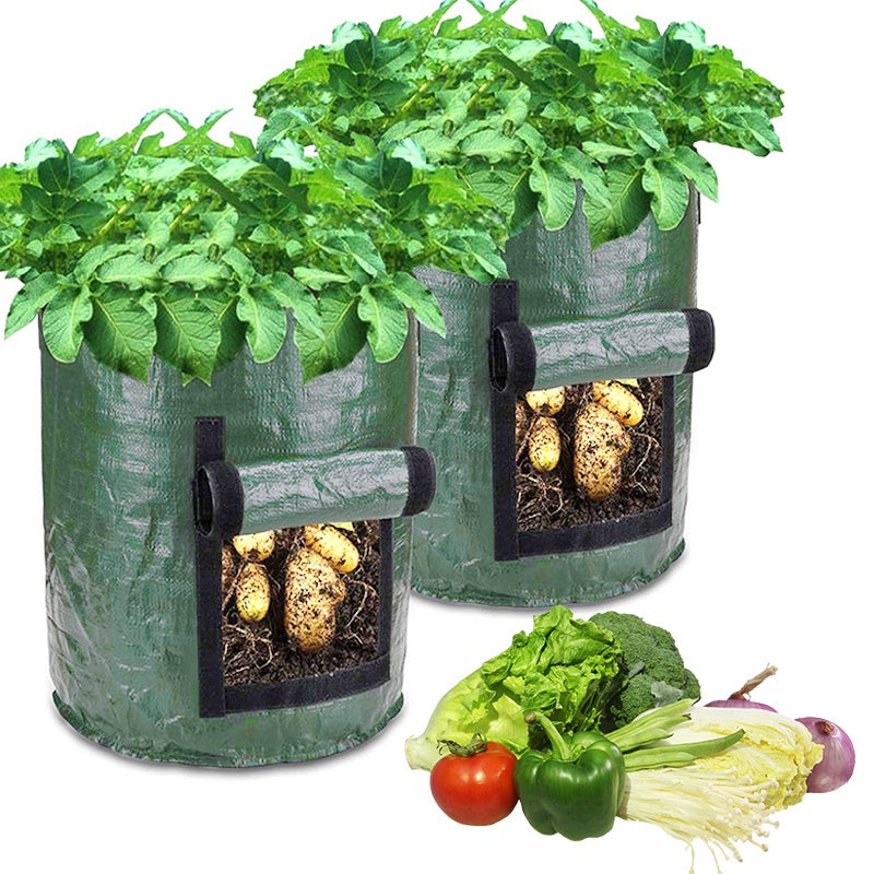 This is a Planter Growing Bag