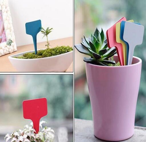 This is a Garden Plant Set T-type Tags