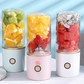 Portable Fruit Juicing Cup Charging Fruit Juicer