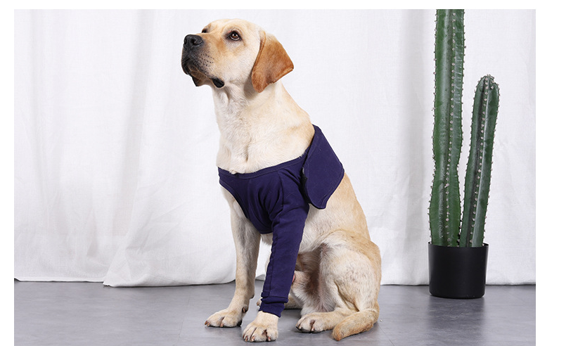 New Anti-licking Sleeve For Postoperative Recovery Of Dog Legs Pet