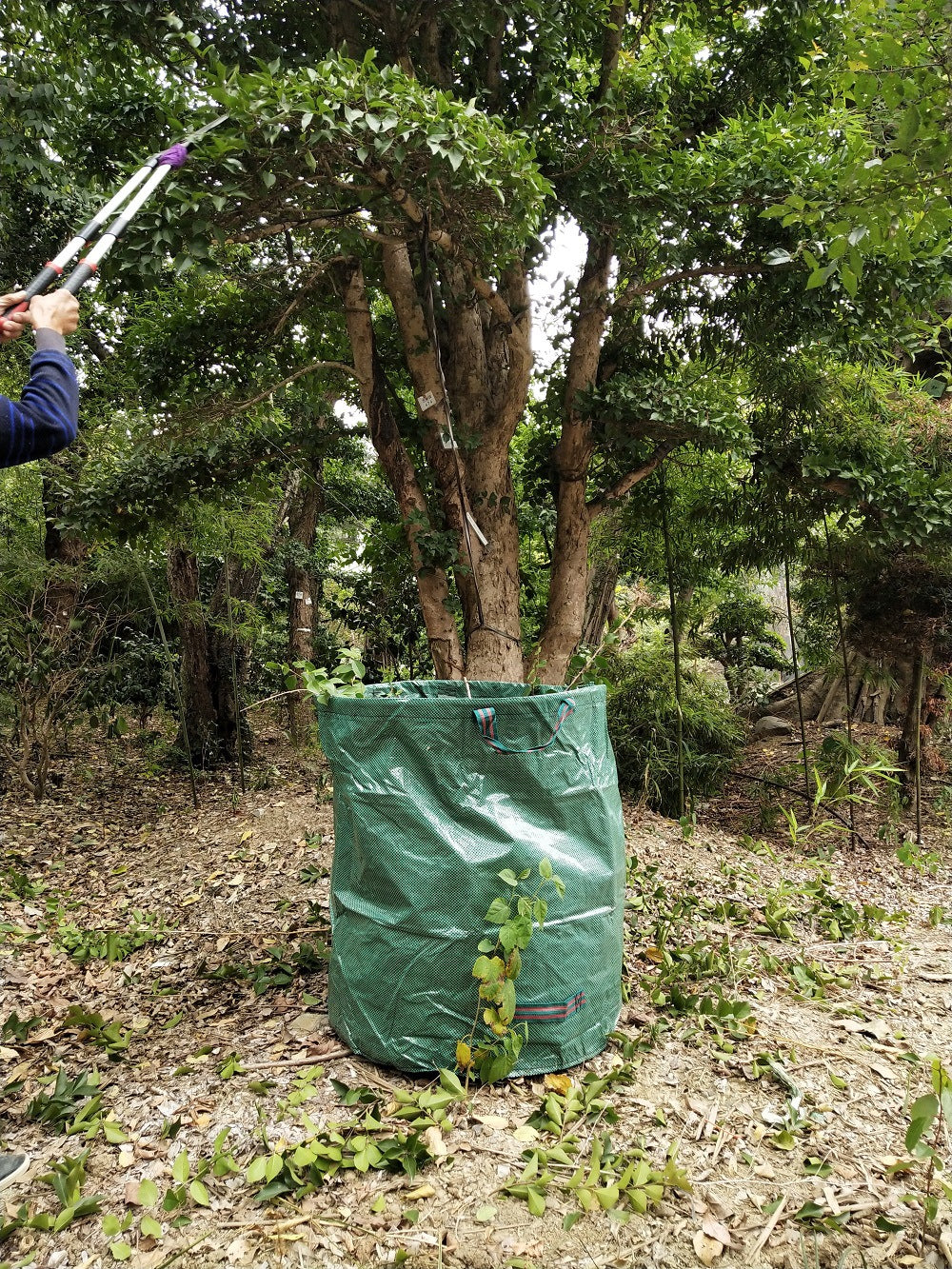 This is a Plastic Green Garden Bag